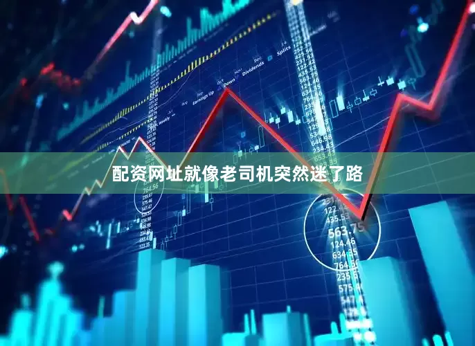 配资网址就像老司机突然迷了路